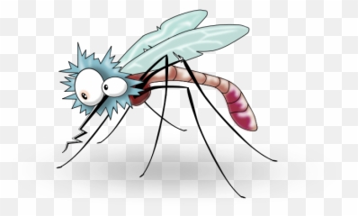 Free Mosquito Transparent Background Parasitic Mosquitoes That Feed