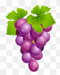 Grapes Clipart 1 Kids Pedia - Emoji