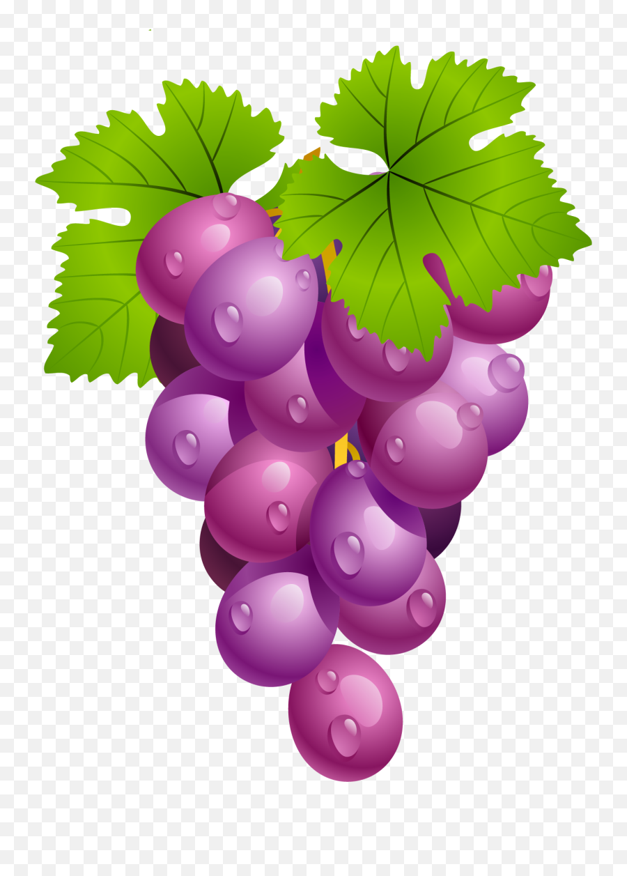 Grapes Clipart 1 Clipart Kids Pedia - Grapes Clipart Emoji,Grape Emoji Png