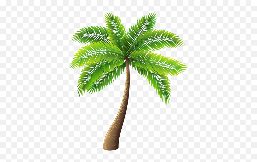 Png Palm Tree Free Transparent Palm Tree - Transparent Background Palm Tree Png Emoji,Palm Tree Emoji