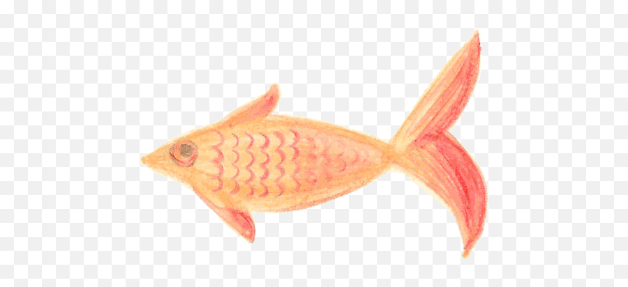 Orange Fish Sketch - Painted Fish Png Emoji,Jesus Fish Emoji