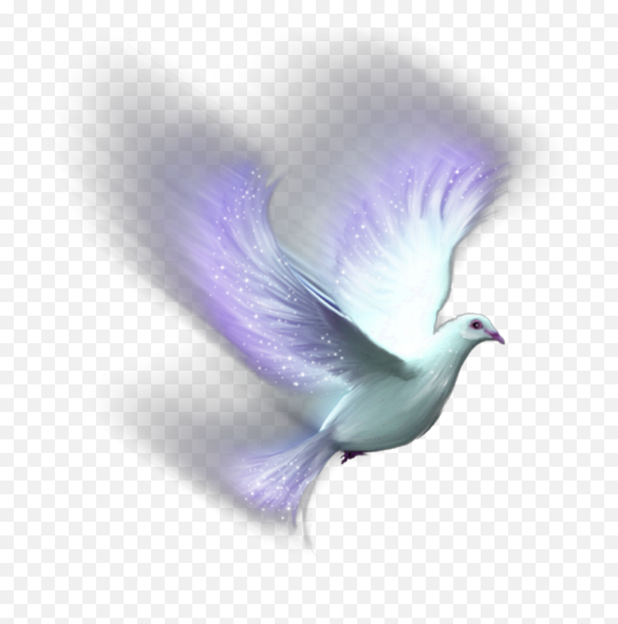 Bird Red Spiral Aesthetic Crown Taç Grid Wings Rainbow - Transparent Background Dove Png Emoji,Red Bird Emoji