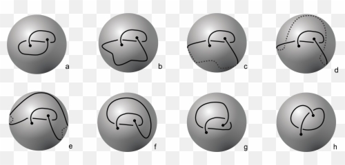 KnotProt 20 A database of proteins with knots and slipknots - Circle Emoji