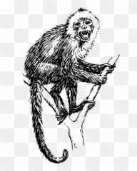 Free Monkey Animal Vectors - Drawings Of Capuchin Monkeys Emoji