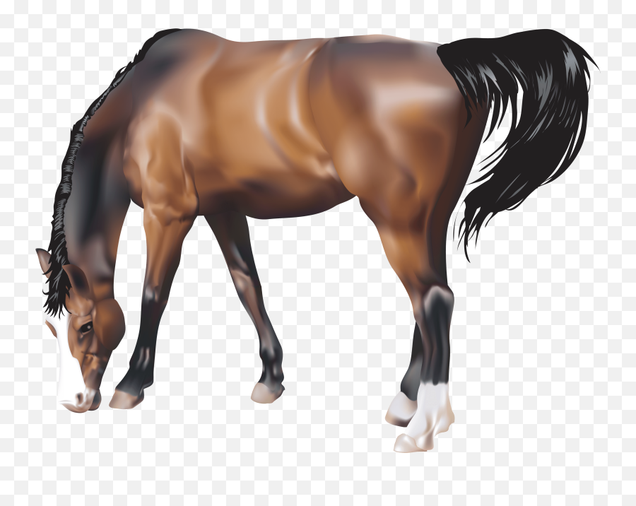Horses - Realistic Horse Vector Emoji,Horse Emoticons