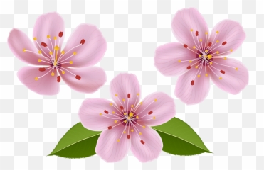 Spring Flowers Transparent Free Spring Flowers Transparent - Transparent Flowers Clip Art Emoji,Spring Emoji