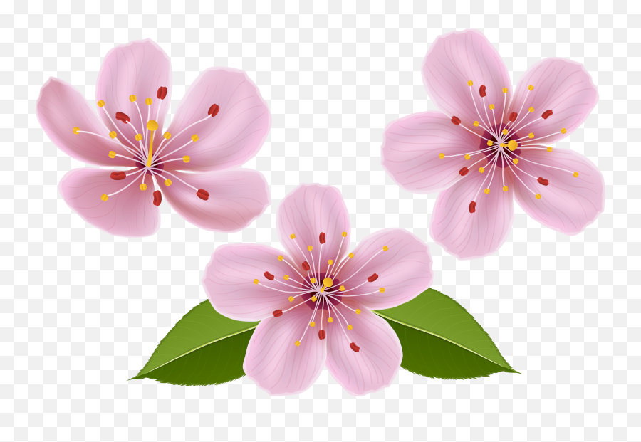 Spring Flowers Transparent Free Spring Flowers Transparent - Transparent Flowers Clip Art Emoji,Spring Emoji