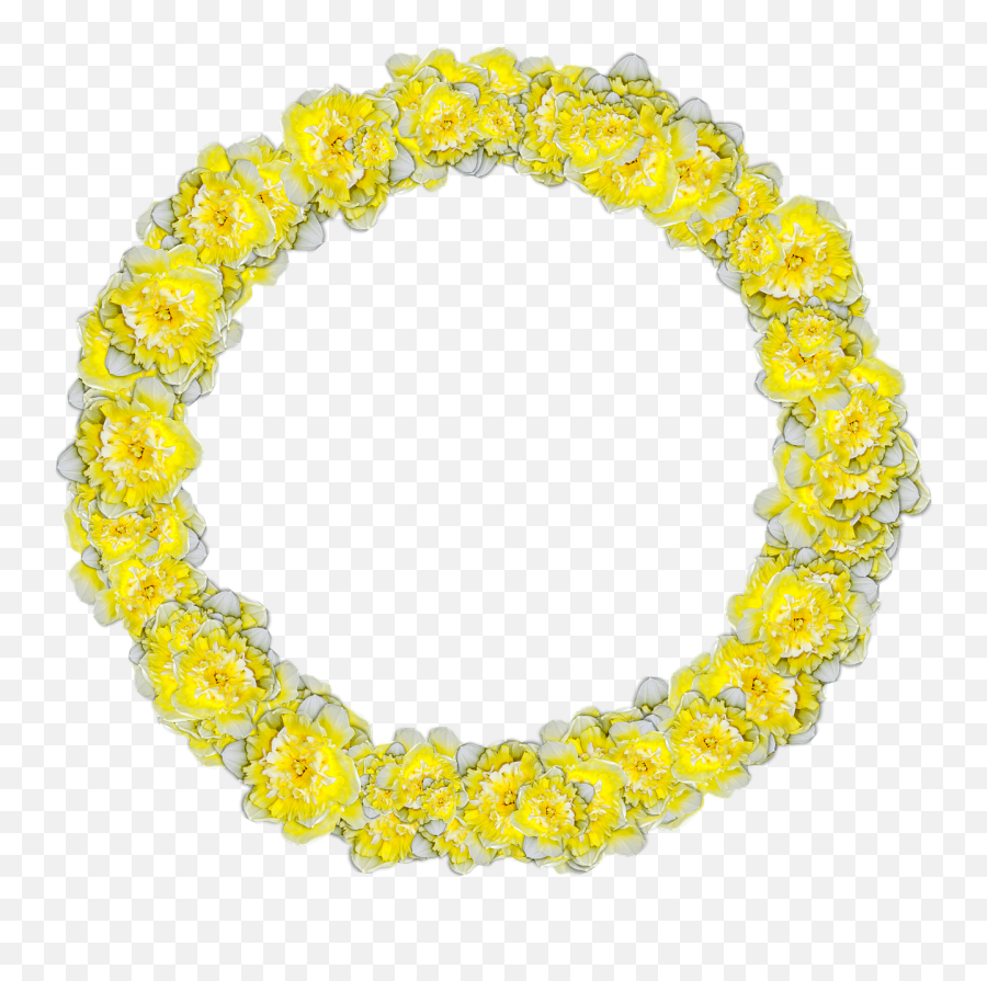 Daffodils Circle Narcissus - Bracelet Clipart Full Size Bracelet Emoji,Daffodil Emoji