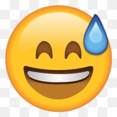 Emoji Meanings And What Does This Emoji Mean - Smile With Sweat Emoji,Gross Emoji