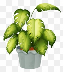 Emoji Stickers Emoji - Name Non Flowering Plants,Palm Tree Emojis