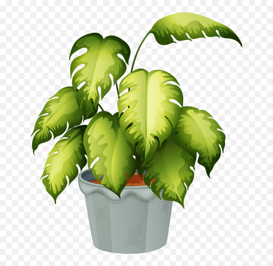 Emoji Stickers Emoji - Name Non Flowering Plants,Palm Tree Emojis