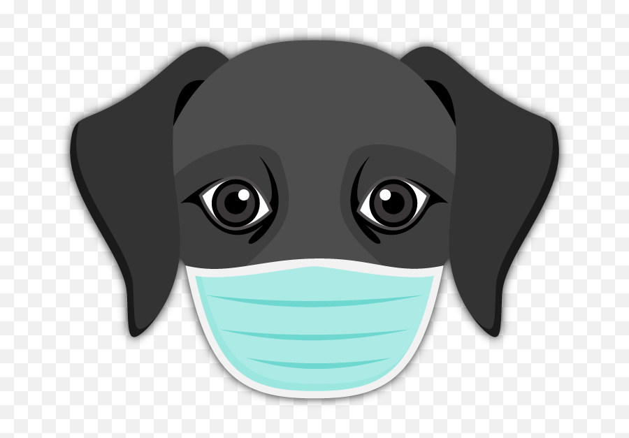 Black Labrador Emoji - Dog With Medical Mask,Nurse Emoji