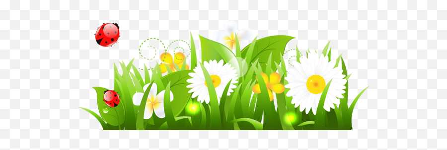 White Flowers Grass And Ladybugs Png Clipart Picture Clip - Grama Joaninha Png Emoji,Pickaxe Emoji