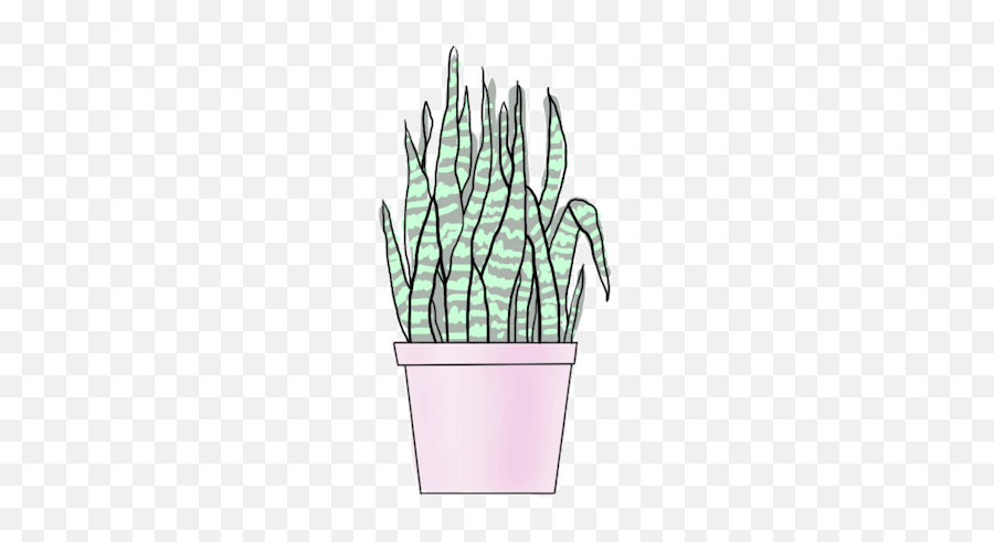 Picture - Aesthetic Plant Gifs Transparent Emoji,Succulent Emoji