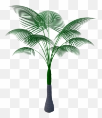 Tropical Plant Tree - Flower Pixabay Emoji,Palm Tree Emojis