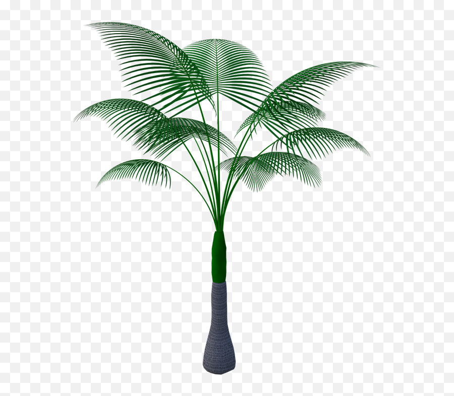 Tropical Plant Tree - Flower Pixabay Emoji,Palm Tree Emojis