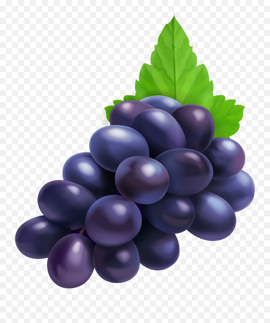 Grape Clipart Png - Black Grapes Clipart Png Emoji,Grape Emoji