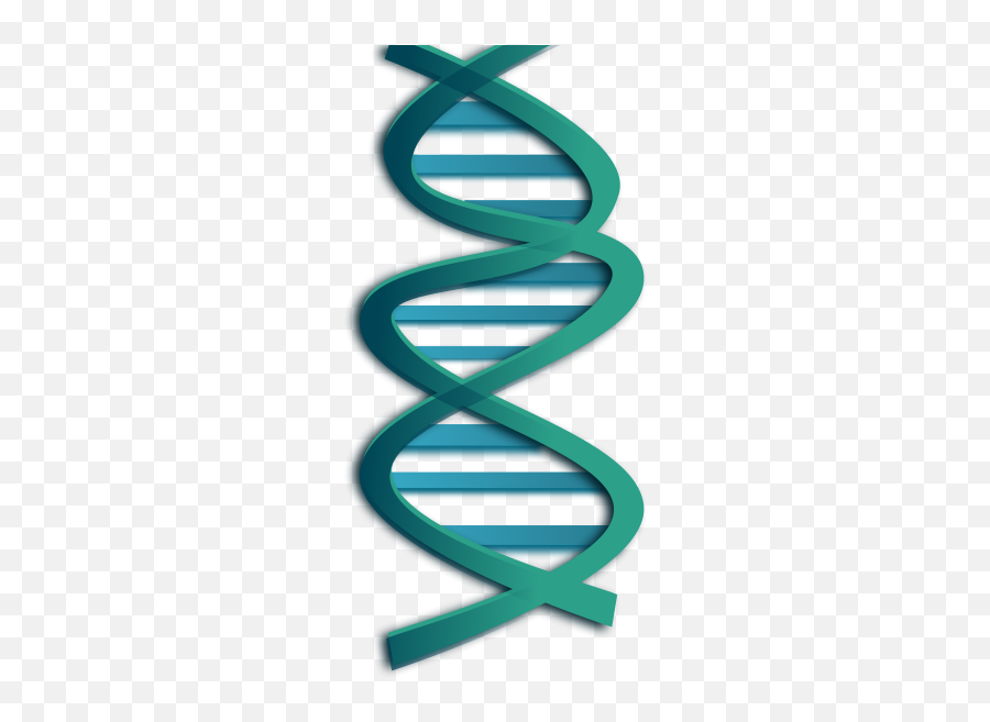Free Dna Helix Png Download Free Clip Art Free Clip Art On - Dna Clip Art Emoji,Dna Emoji