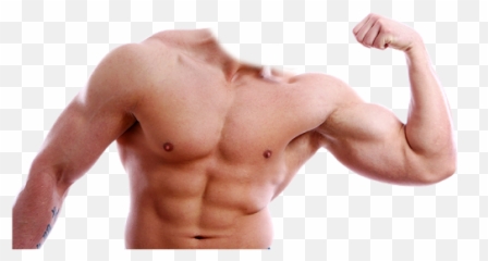 Transparent Muscles Background u0026 PNG Clipart - Png Emoji