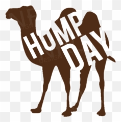 The Newest hump day Stickers on PicsArt - Arabian Camel Emoji