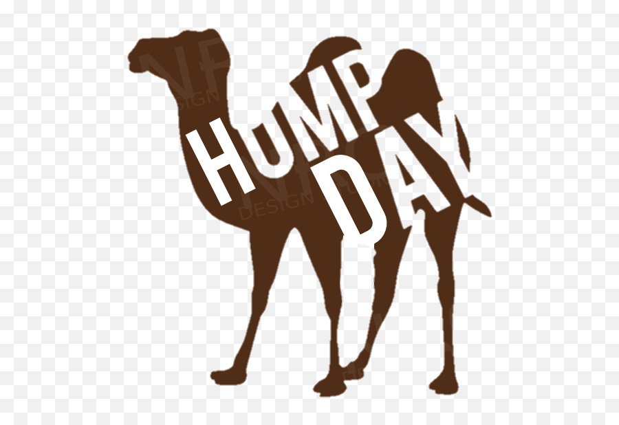 The Newest Hump Day Stickers On Picsart - Arabian Camel Emoji,Hump Day Emoticon