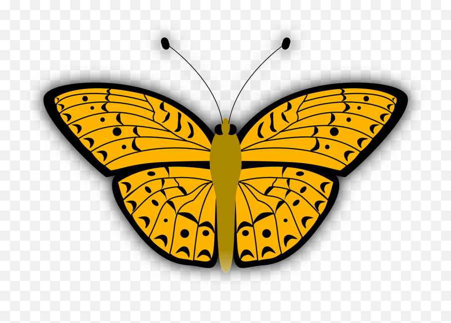 Butterfly Insect Bug - Free Vector Graphic On Pixabay Kupu Kupu Animasi Emoji,Bug Emoji