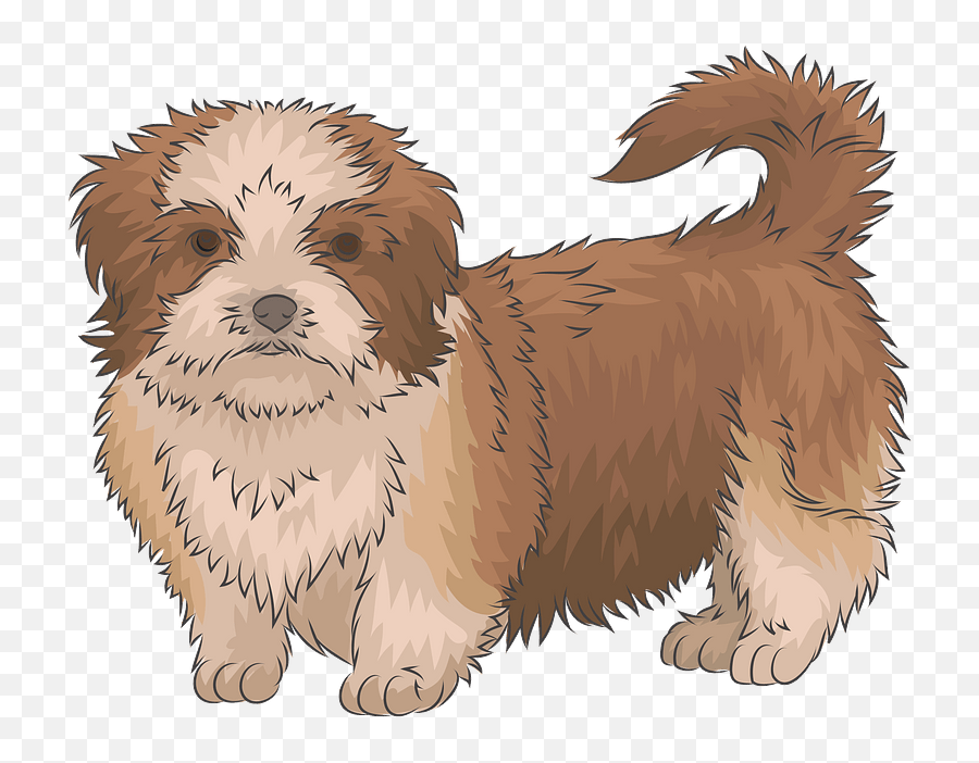 Shih Tzu Clipart Transparent Cartoon - Jingfm Shih Tzu Brown Clipart Emoji,Schnauzer Emoji