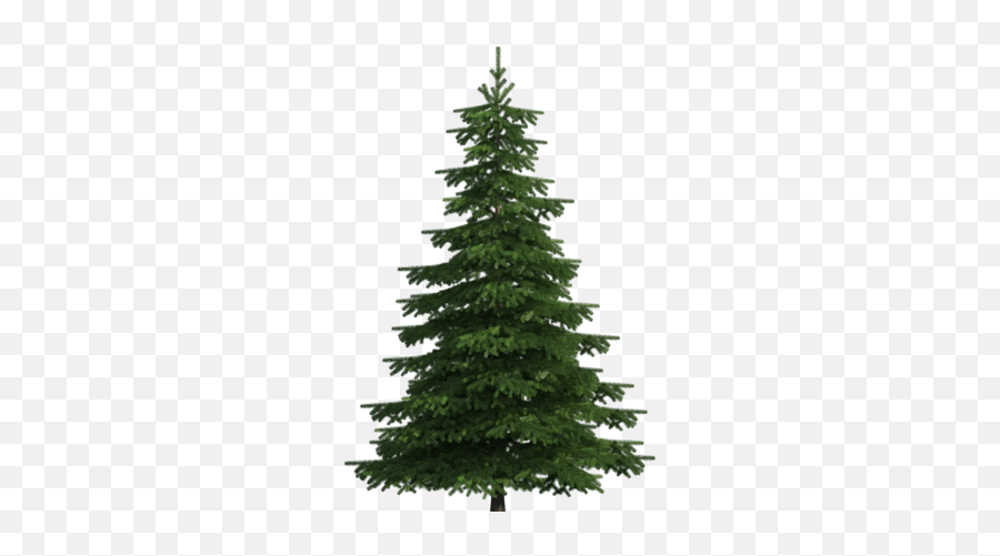 realistic-pine-tree-png-clip-art-transparent-pine-tree-png-emoji-pine