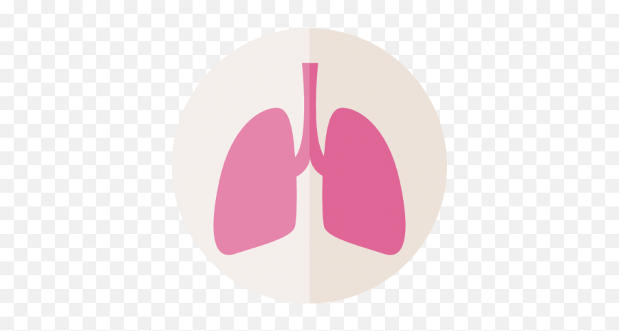 Free Png Images - Heart And Lung Transparent Emoji,Lung Emoji