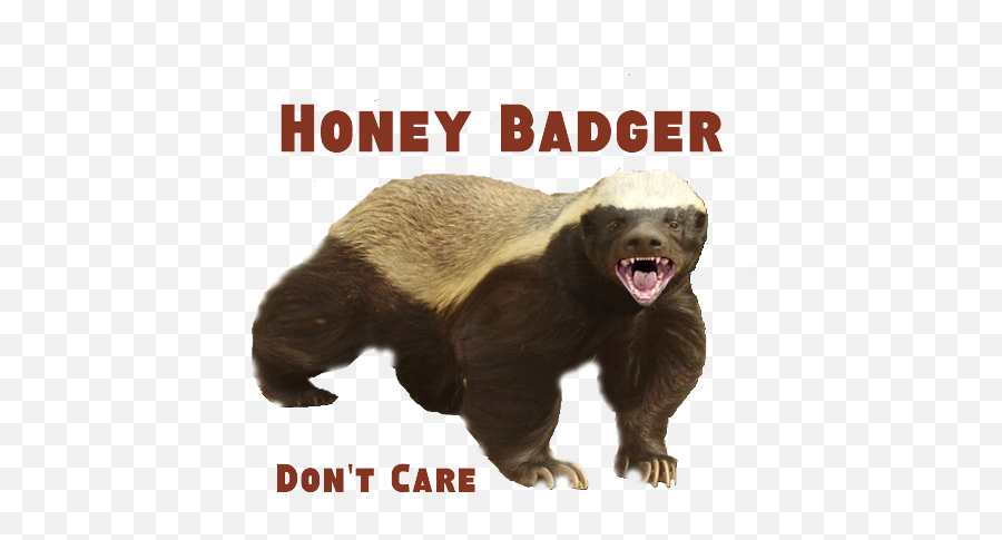 4570book - Honey Badger Don T Care Emoji,Badger Emoticon