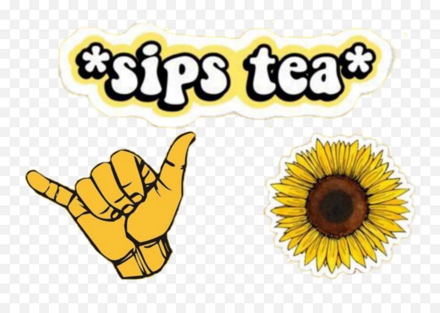 Yellow Sipstea Hangloose Sunflower - Sips Tea Sticker Emoji,Hang Loose Emoji