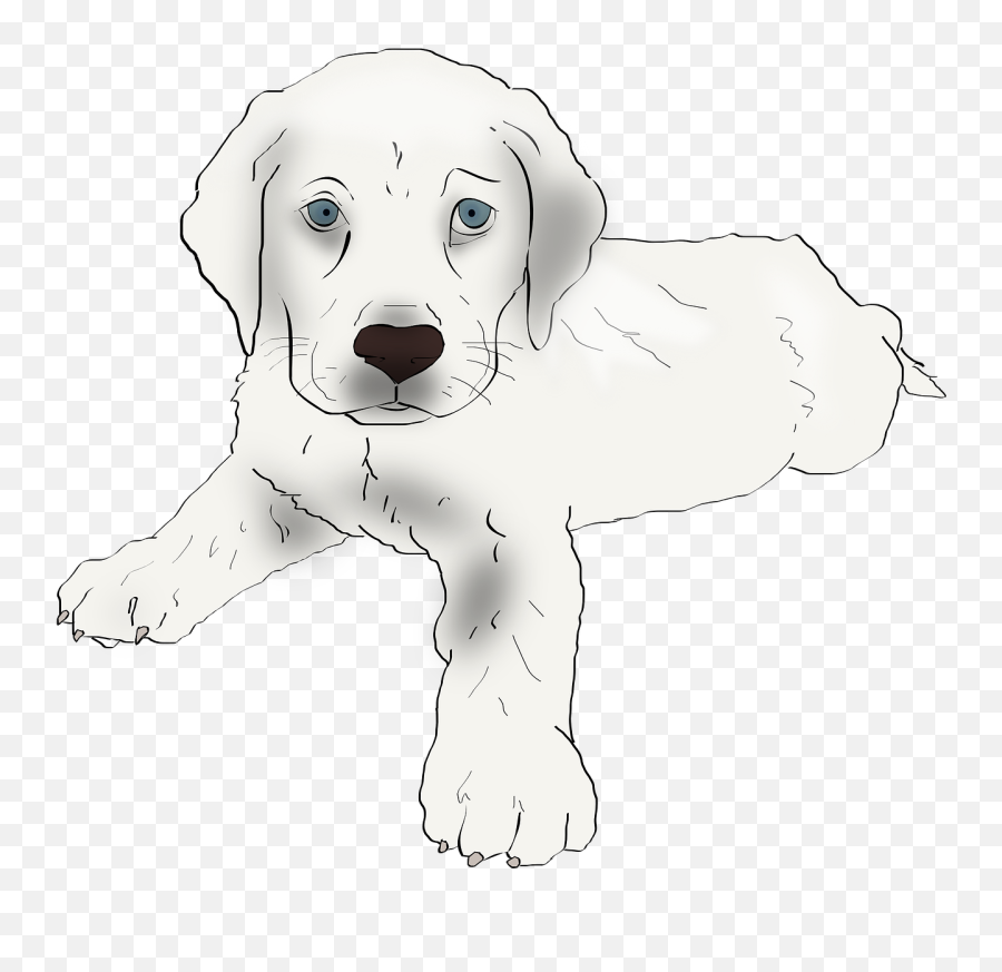 Puppy Dog Labrador Retriever Labrador Retriever - Labrador Hvalpe Sort Hvid Png Emoji,Hugging Emoticon