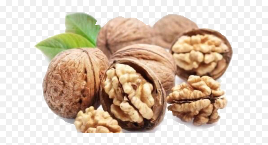 Edit - Brain Type Dry Fruit Emoji,Walnut Emoji