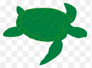 Dinosaur Stuffed Animal Turtle - Clipart Sea Turtles Png Emoji,Sea Turtle Emoji