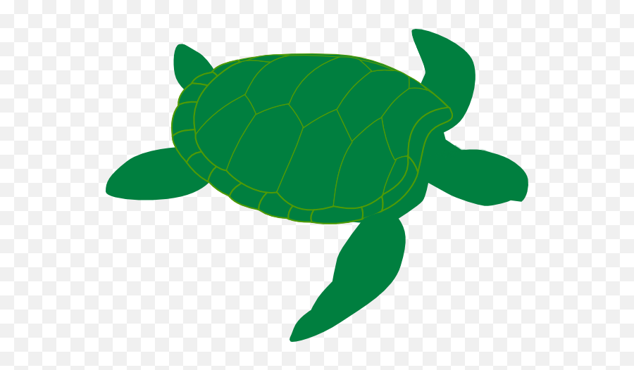 Dinosaur Stuffed Animal Turtle - Clipart Sea Turtles Png Emoji,Sea Turtle Emoji