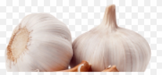 Blog - Desi Lehsan Emoji,Garlic Emoji