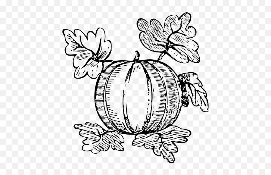 Melon Vector Drawing - Watermelon Plant Drawing Easy Emoji,Unicorn Emoji