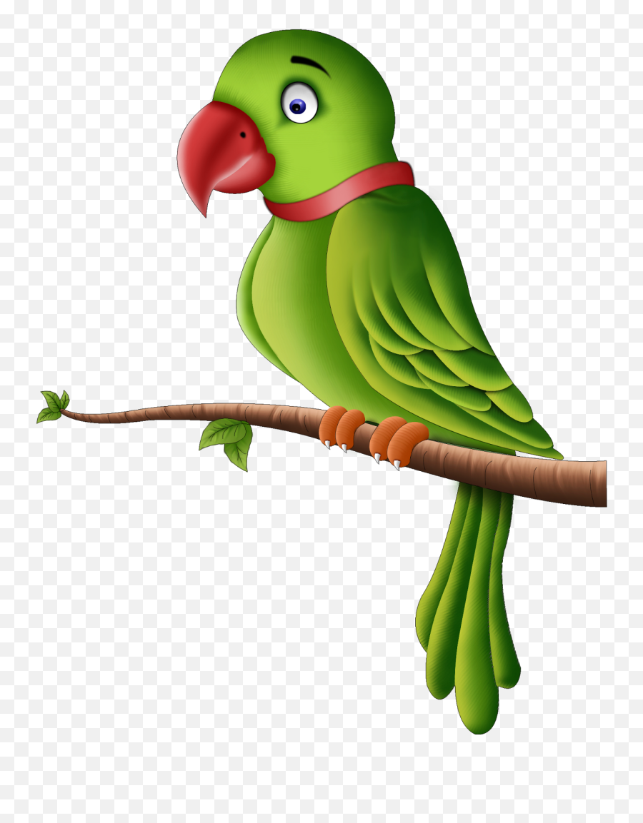 Parrot Clipart Perico Parrot Perico Transparent Free For - Clip Art Parrot Emoji,Parrot Emoji