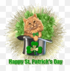 Animated Gif St Patricks Day E Cards Happy Cat Hat - Gifs Emoji