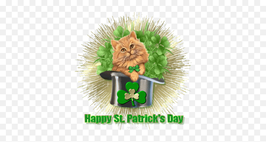 Animated Gif St Patricks Day E Cards Happy Cat Hat Happy Cat - Animated Gif St Patricks Day Gifs Emoji,Happy Cat Emoji