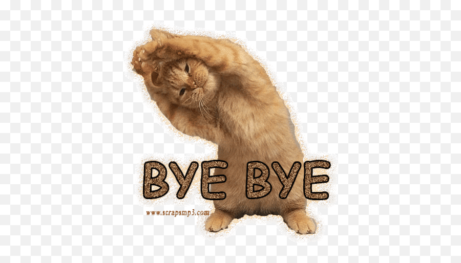 Top Cats Bye Stickers For Android U0026 Ios Gfycat - Peace Of Mind Memes Emoji,Bye Bye Emoji