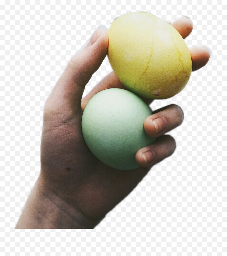 Hand Mit Einem Ccc Eier Easter Egg - Egg Emoji,Emoji Easter Egg