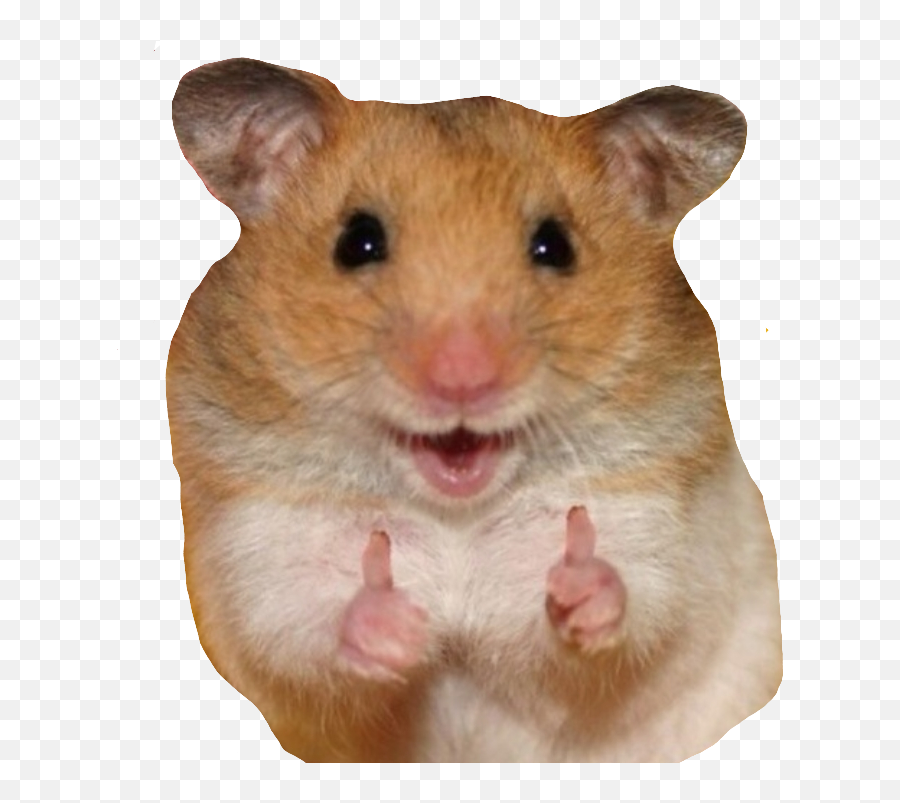 The Most Edited Hamste Picsart - Cute Happy Animal Emoji,Hamster Emoji