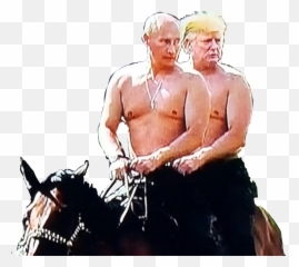 Brolove Trump Putin Horse Sticker By Michael - Rein Emoji,Horse And Muscle Emoji