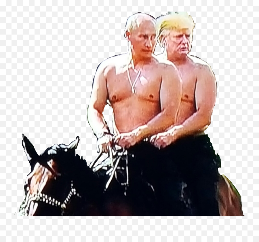 Brolove Trump Putin Horse Sticker By Michael - Rein Emoji,Horse And Muscle Emoji