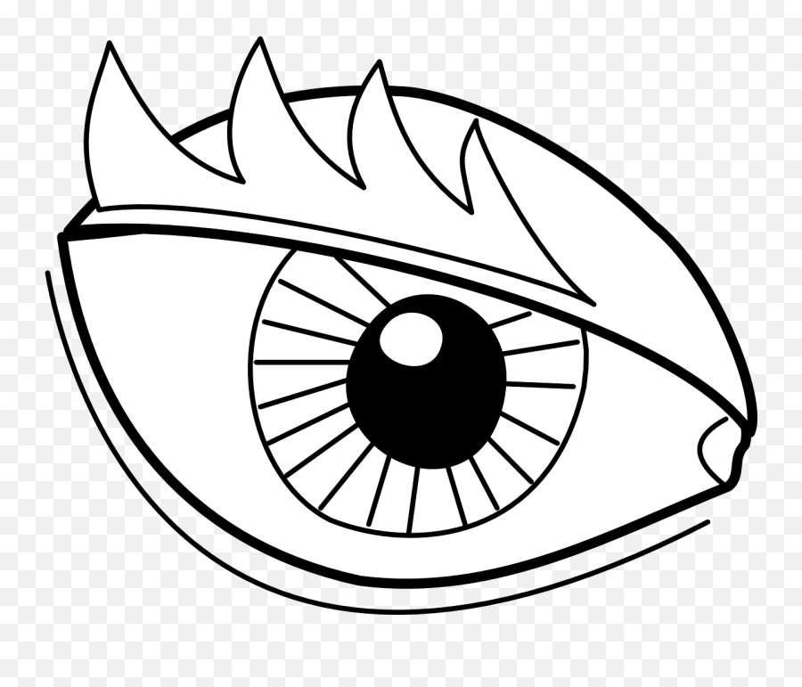Vision Eyebrows Eye See Iris - Desenhos De Olhos Para Colorir Emoji,Eyebrow Emoticon