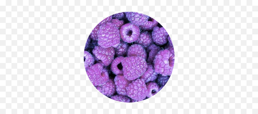 Mine Sticker Blackberry Purple Purpleaesthetic Fruits - Purple Aesthetic Emoji,Blackberry Emoji