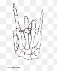 Download Praying Skeleton Drawing Human Hands Free HD Image - Middle Finger Emoji