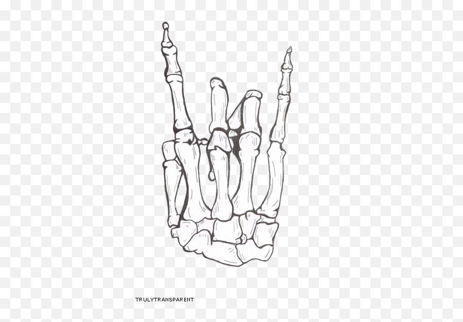 Download Praying Skeleton Drawing Human Hands Free Hd Image - Skeleton Middle Finger Drawing Emoji,Praying Hands Emoticon