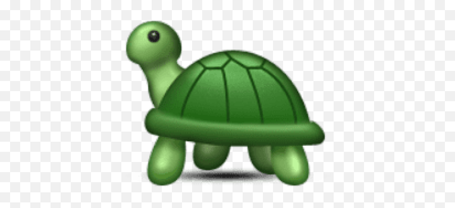 Download Hd Free Png Ios Emoji Turtle Png Images Transparent - Emojis Turtle,Ios Emoji Png